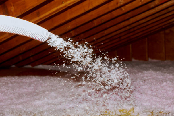Best Specialized Insulation Services in Dublin, CA