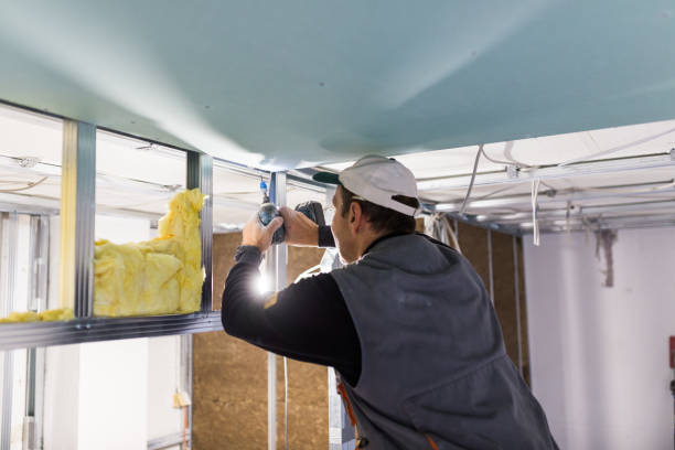 Best DIY Insulation Kits and Guidance in Dublin, CA