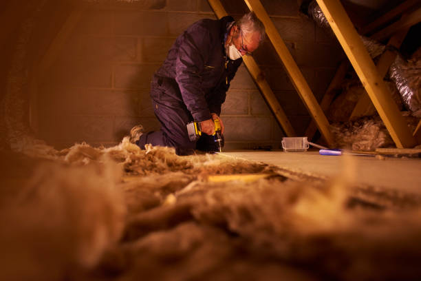 Best Cellulose Insulation in Dublin, CA